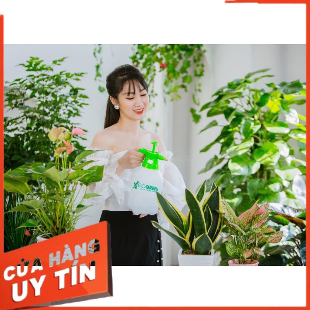 - Bình Tưới Cây GoGreen 2L- Bình Xịt Nước Tưới Cây Cảnh, Cây Hoa - Nhựa PE cao cấp siêu bền (màu xanh)