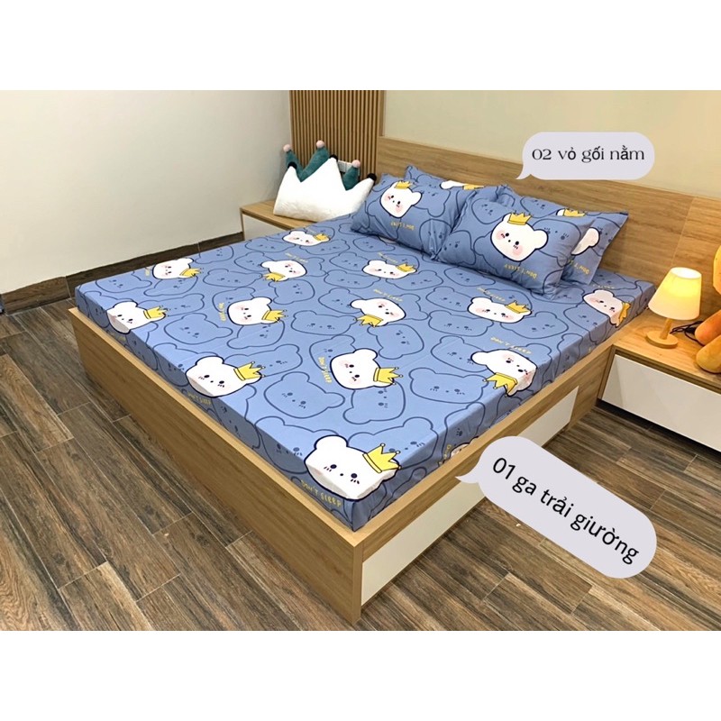 GA GỐI COTTON - Set 3 món ko có vỏ chăn - bộ Gối + Ga giường