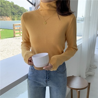 Áo Len Nữ  Ôm Cổ Lọ Mịn 801