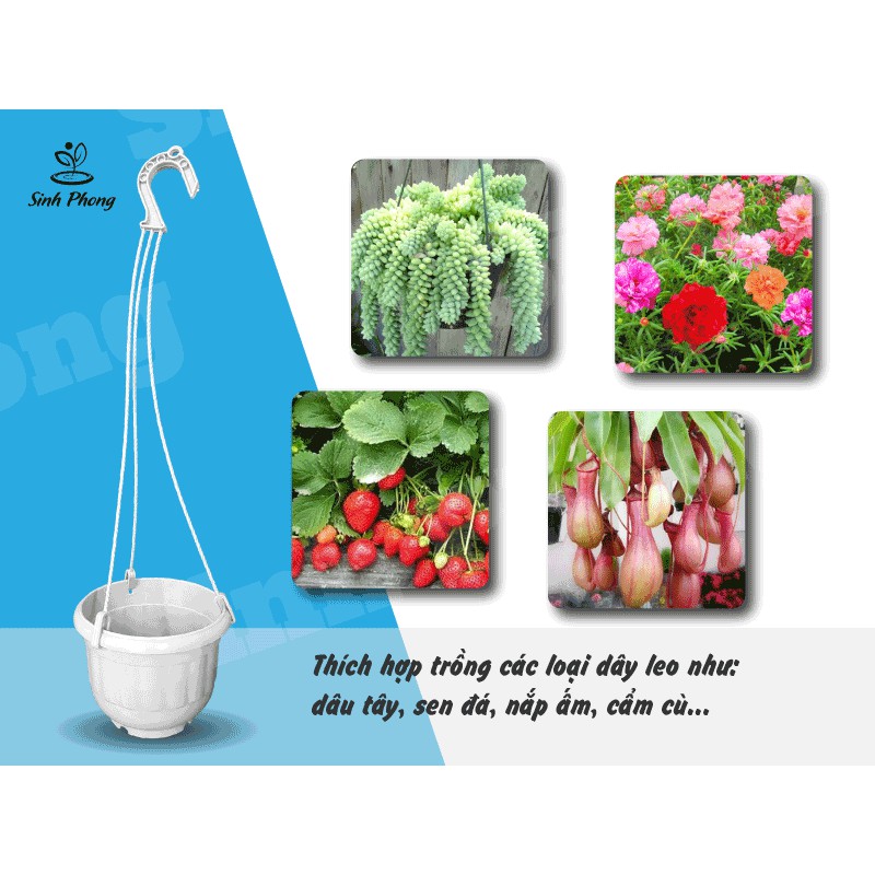 Chậu treo Nhật 13x11 nhiều màu