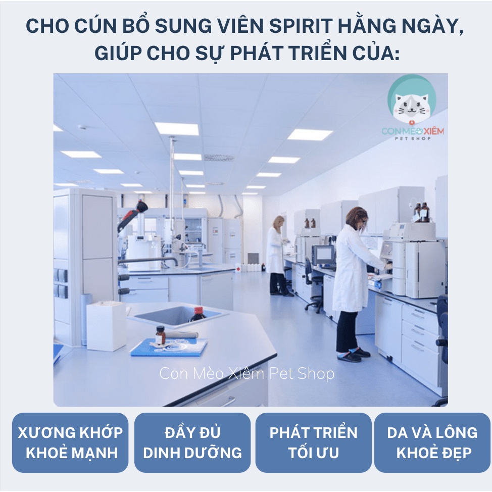 Viên bổ sung cho chó Spirit canxi, vitamin, dưỡng lông da cún, dinh dưỡng, tiêu hoá, khớp xương, vi lượng Con Mèo Xiêm