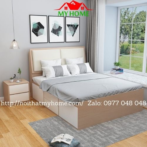 Giường Ngủ Nhựa Đài Loan CHINHUEI, ECOPLAST, VICOPLAST 2 Hộc Ngăn Kéo GN12