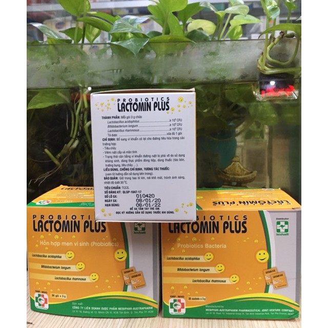 Men Vi Sinh Lactomin Plus Hỗ Trợ Đường Tiêu Hóa, Kích Thích Hệ Miễn Dịch Hộp 30 Gói