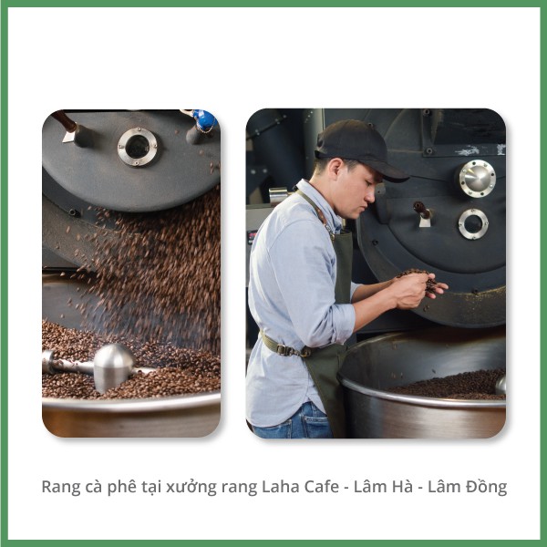 Cà phê Arabica Cầu Đất gói 500g, nguyên chất phù hợp pha Cold Brew, Pour Over, Specialty từ Laha Cafe | BigBuy360 - bigbuy360.vn