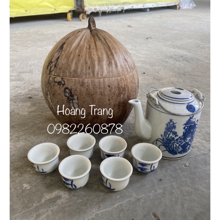 Vỏ Ủ Giữ Ấm Bình Trà Trái Dừa Nguyên Thủy Không Sơn -Mẫu núm trái dừa 800ml~1200ml