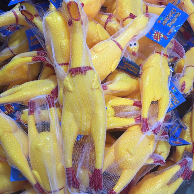 Gà bóp kêu 40cm
