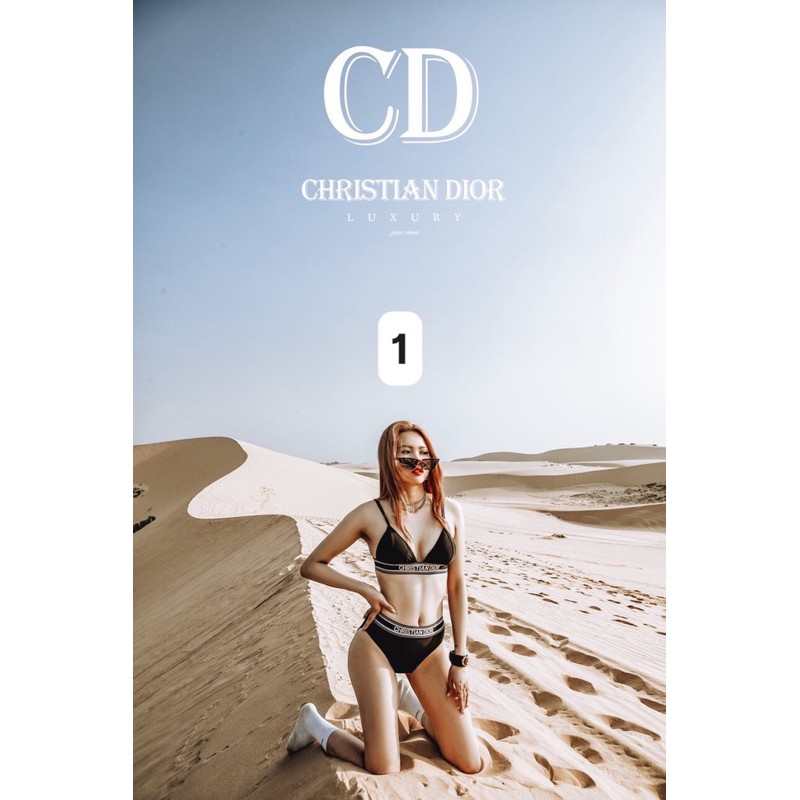 Sét bikini dior sang chãnh