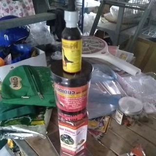 Bổ nội tạng+ốm trong gà chọi