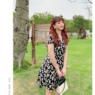 Đầm daisy dress bigsize