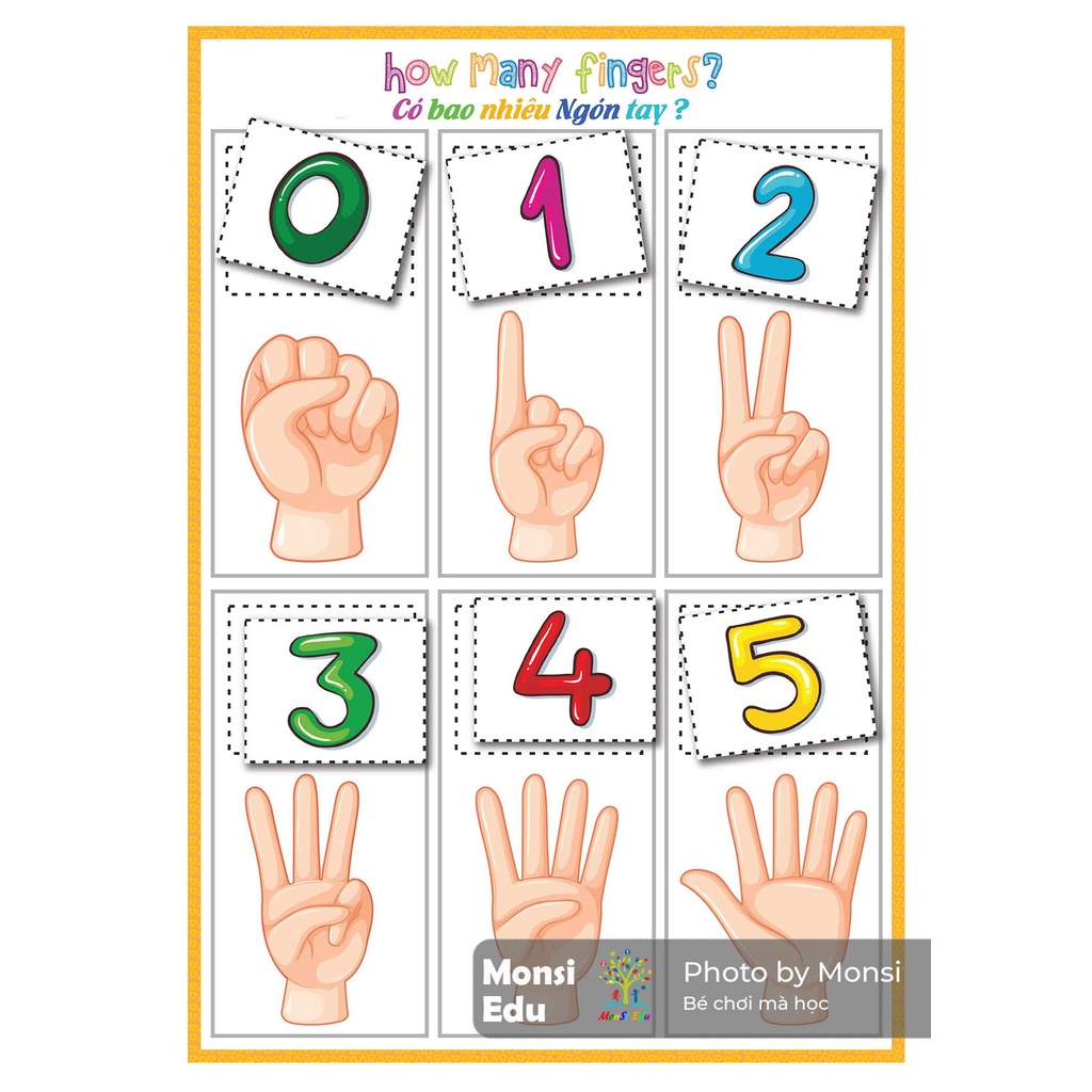 montessori - Bộ toán học F11 - Học liệu dính dán - Matching Book [Monsi Edu]