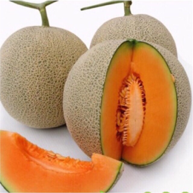 Hạt giống dưa lưới nhập khẩu, dua lươi vàng ngọt lịm (trồng cạn or thủy canh đều được)
