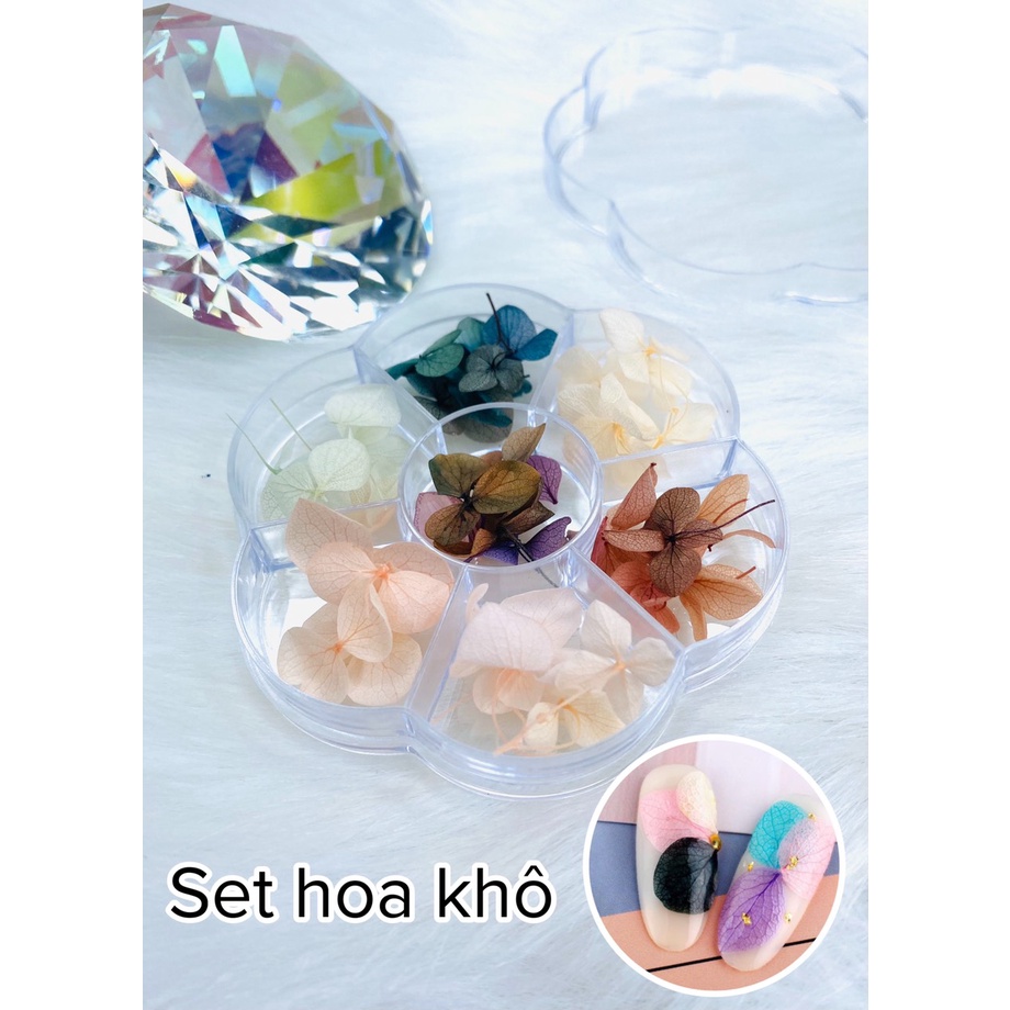 Set hoa khô 7 màu chuyên dùng trang trí móng - phụ kiện dành cho móng - Sushi nail mi