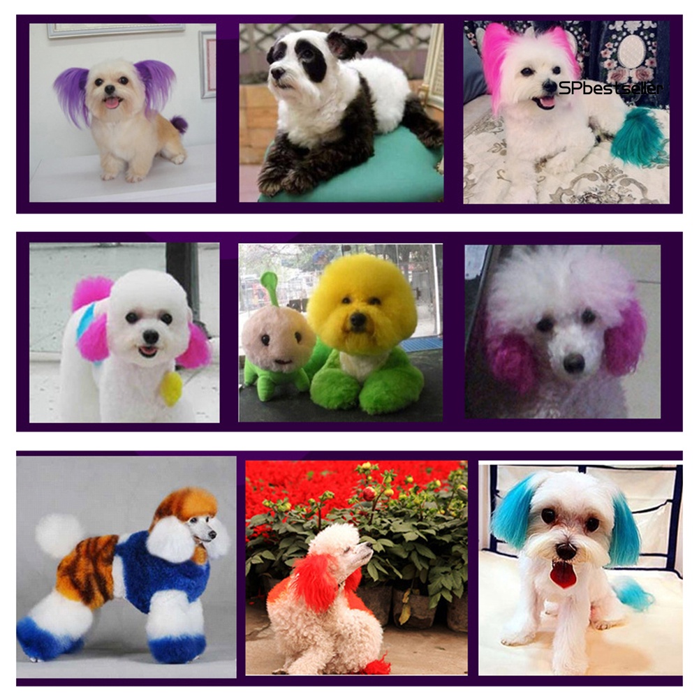 Gel nhuộm lông 100ml màu sắc dễ thương cho thú cưng