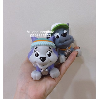 Chó cứu hộ phun nước