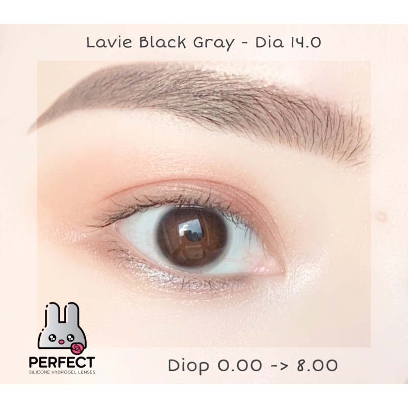 Link 2 (Giá 1 Chiếc) 14.0 (0.00->8.00) Lavie Black - Gray - Kính Áp Tròng