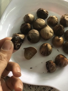 Nồi làm tỏi đen