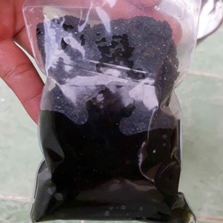 Rong nho khô