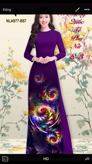 Lụa latinh( lụa pháp )in3d