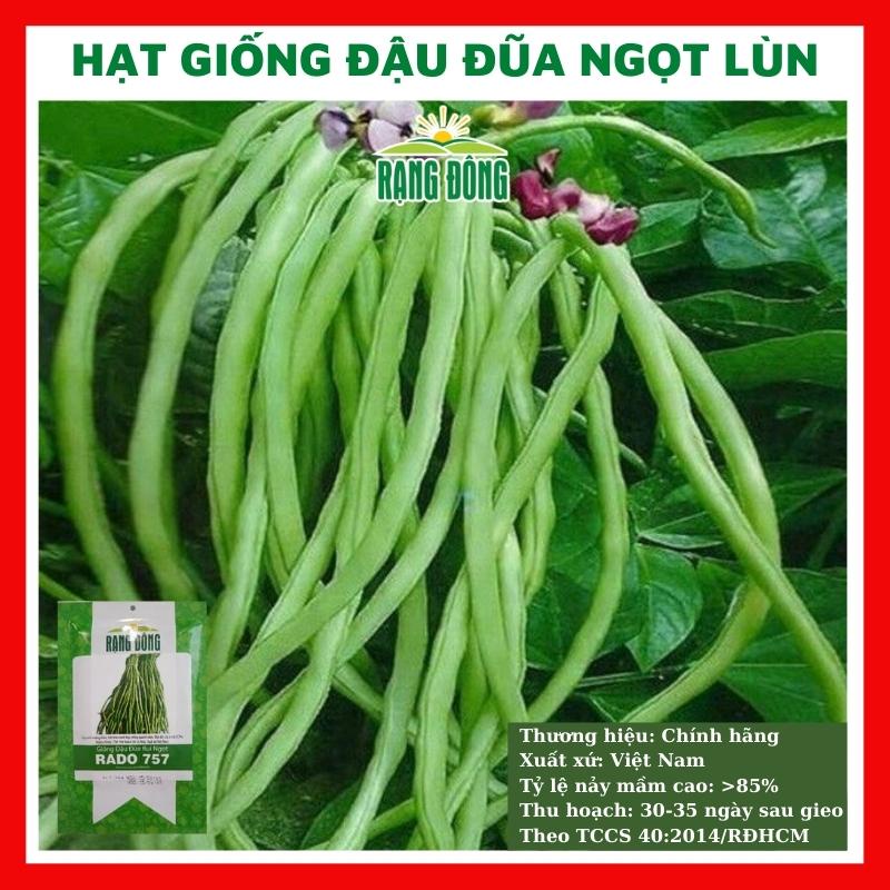 Hạt giống đậu đũa ngọt - rau củ quả trồng chậu, sân vườn ban công ngon giòn ngọt nảy mầm cao 20g RADO757