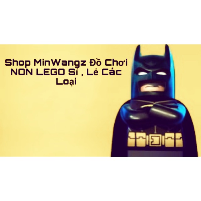 ToysLego WangMinz