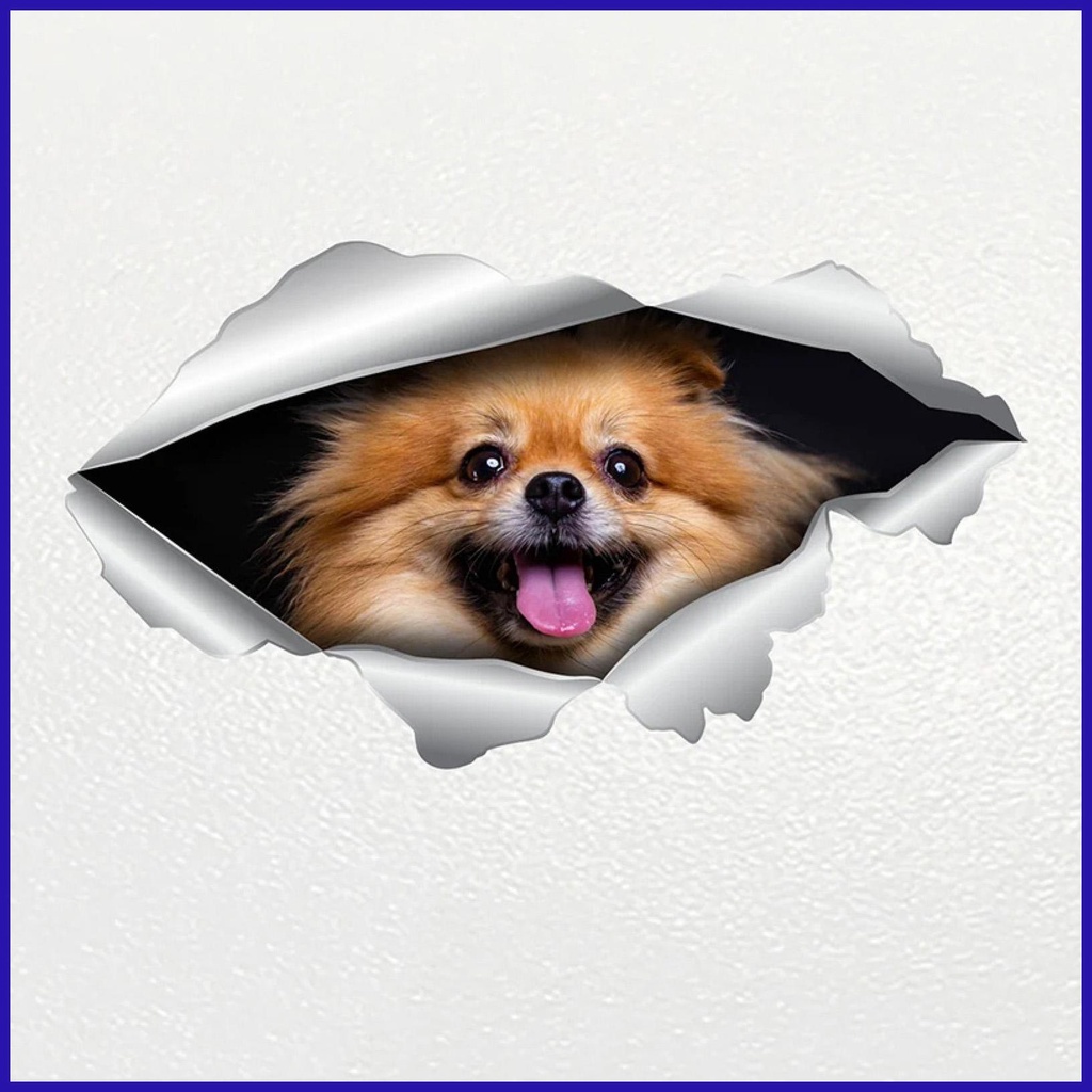 Miếng Dán Hình Chó Bull 3D Ngộ Nghĩnh Trang Trí Xe Hơi