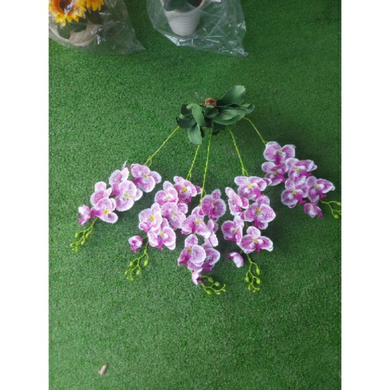 LAN TREO TƯỜNG.HÀNG ĐẸP ,GIÁ RẺ