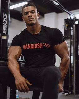 Áo thun vanquish - cotton 4 chiều - Nhập khẩu