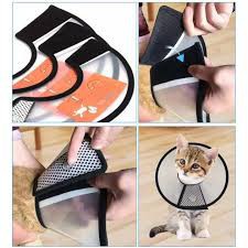 Loa Chống Liếm Thuốc/ Vòng Đeo Cổ Chống Liếm Cho Chó Mèo Thú Cưng