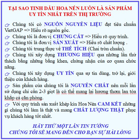 Tinh Dầu Bạc Hà Nguyên Chất 100% - Tinh dầu xông phòng giảm căng thẳng, mệt mõi, đuỗi côn trùng