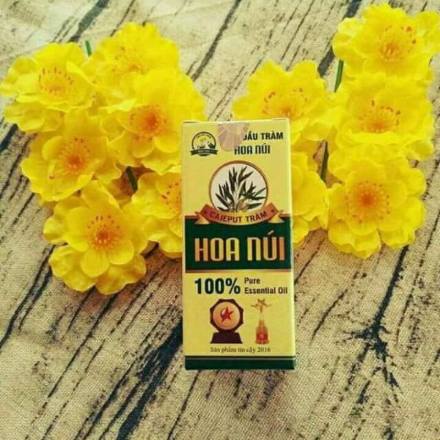 Tinh dầu tràm Hoa Núi