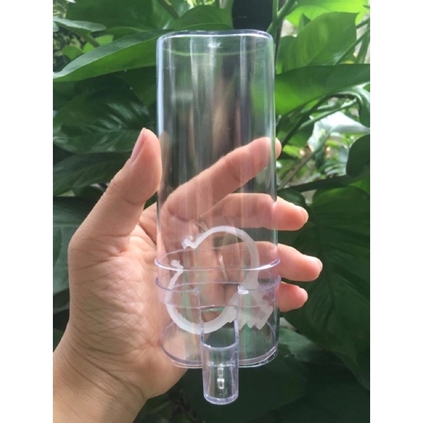 CÓNG ĐỰNG NƯỚC UỐNG CHO CHIM CHÀO MÀO DÀY DẶN GIÁ RẺ