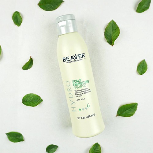 Dầu gội chống rụng và kích thích mọc tóc Beaver Hydro Scalp Energizing Shampoo +++6 258ml