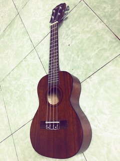 Ukulele concert