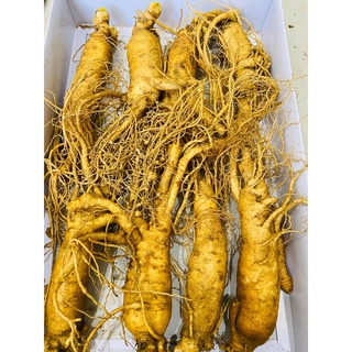 Nhân Sâm gẫy rễ loại 8 Củ 1Kg. Dùng ngâm mật ong