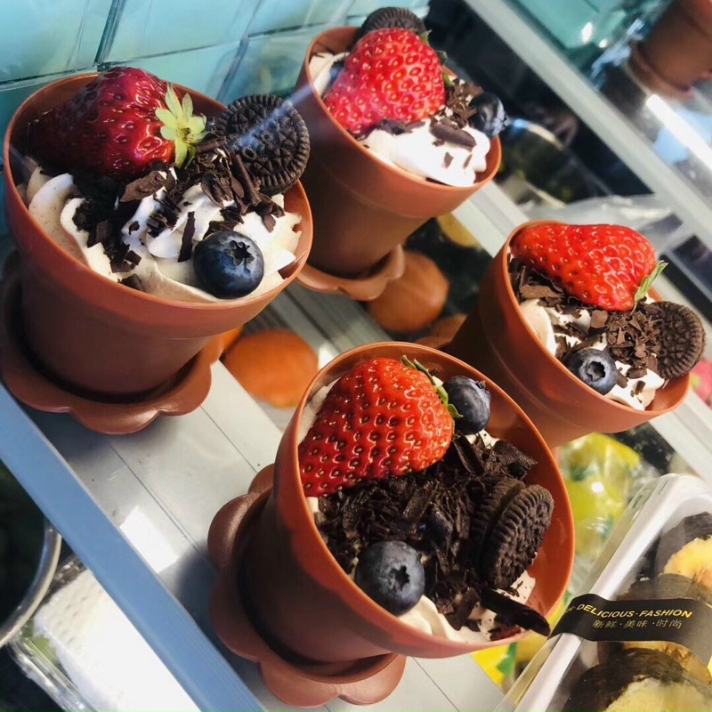🌱 LY CHẬU HOA ĐỰNG BÁNH TIRAMISU 🌱