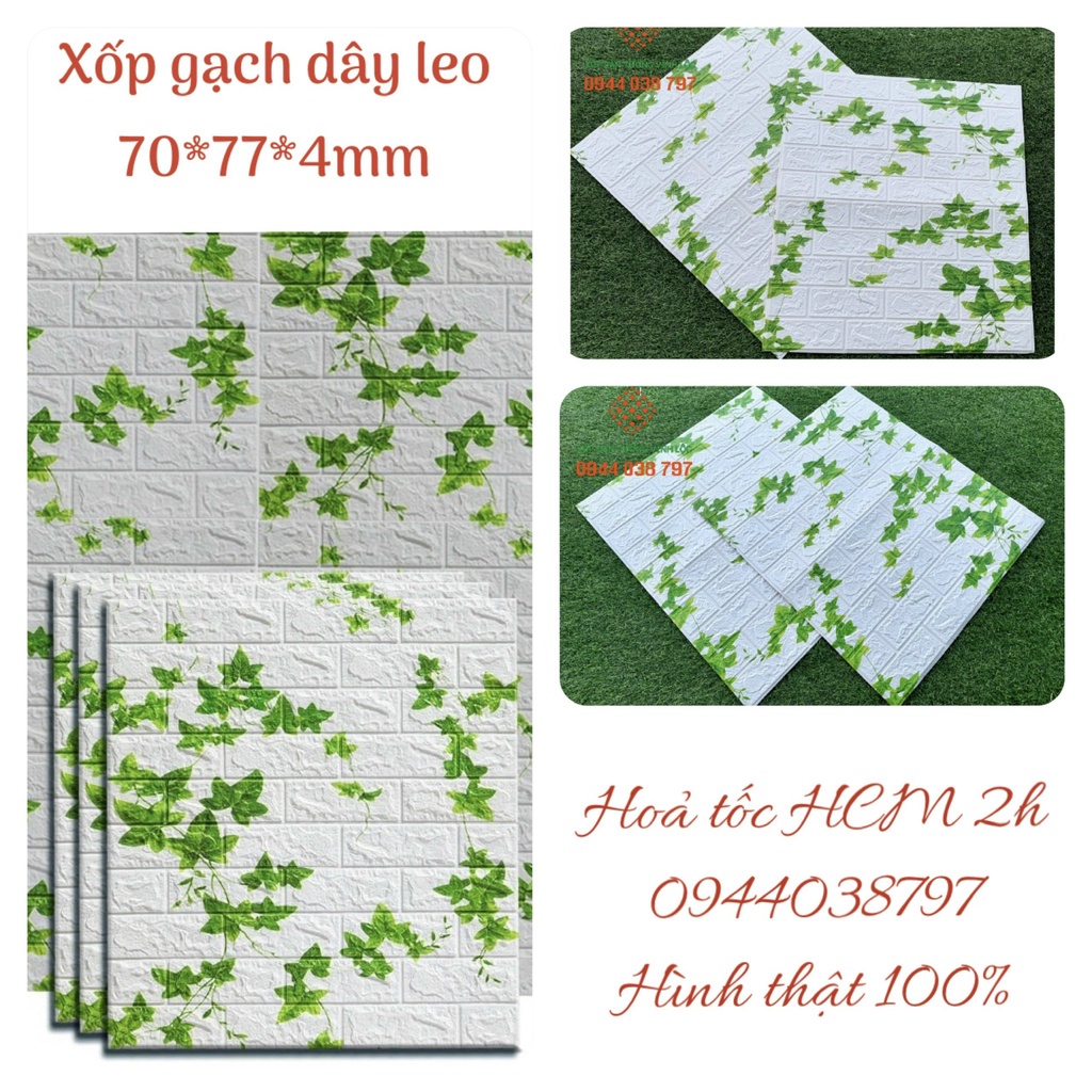 XỐP DÁN TƯỜNG DÂY LEO KHỔ 70X77CM