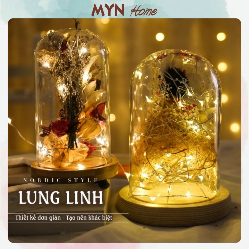 Dây đèn Led fairylight ,dây đèn đom đóm 3 mét dùng pin