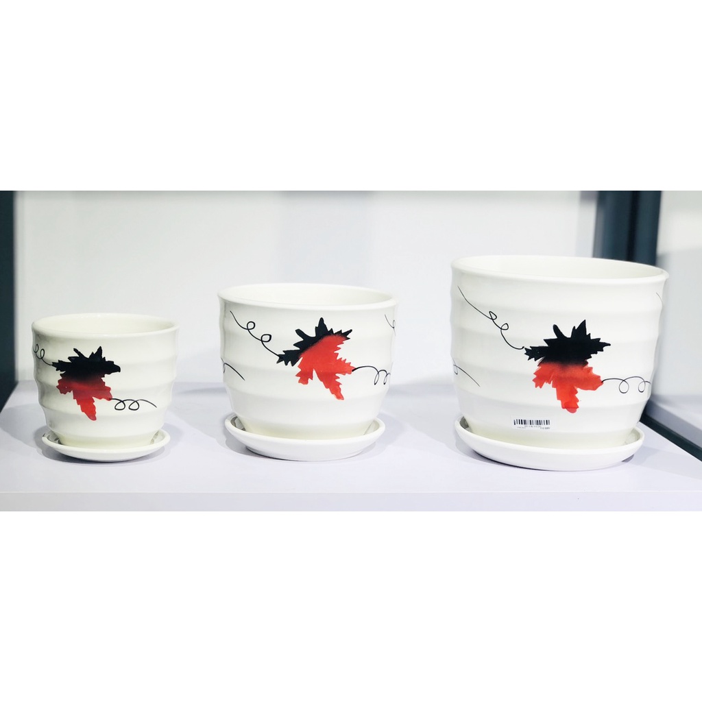 Combo 3 Chậu Sứ  Bát Tràng Trồng Cây Cảnh, Sen Đá, Xương Rồng