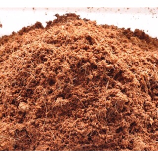 Mùn xơ dừa (1 túi bóng) để trộn đất trồng cây