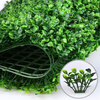 Tấm cỏ nhựa treo tường xà lách xoong