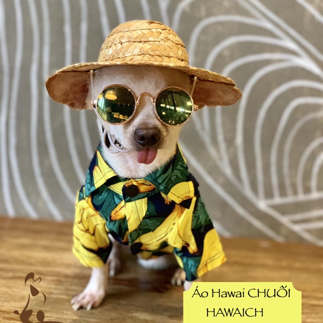 ÁO SƠMI CHUỐI THÚ CƯNG