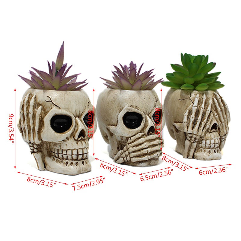 Bộ 3 Chậu Hoa Hình Đầu Lâu Bằng Nhựa Resin Đa Năng