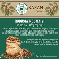 Cà phê Robusta nguyên chất