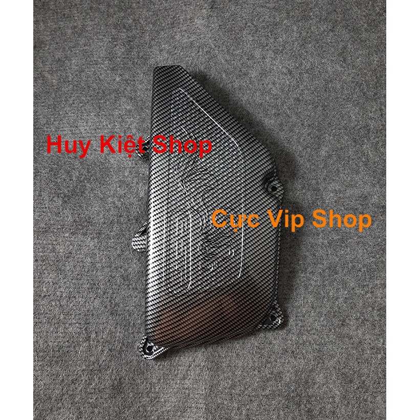 Chụp Pô E Lead 2017 - 2019 Carbon Cao Cấp 2046