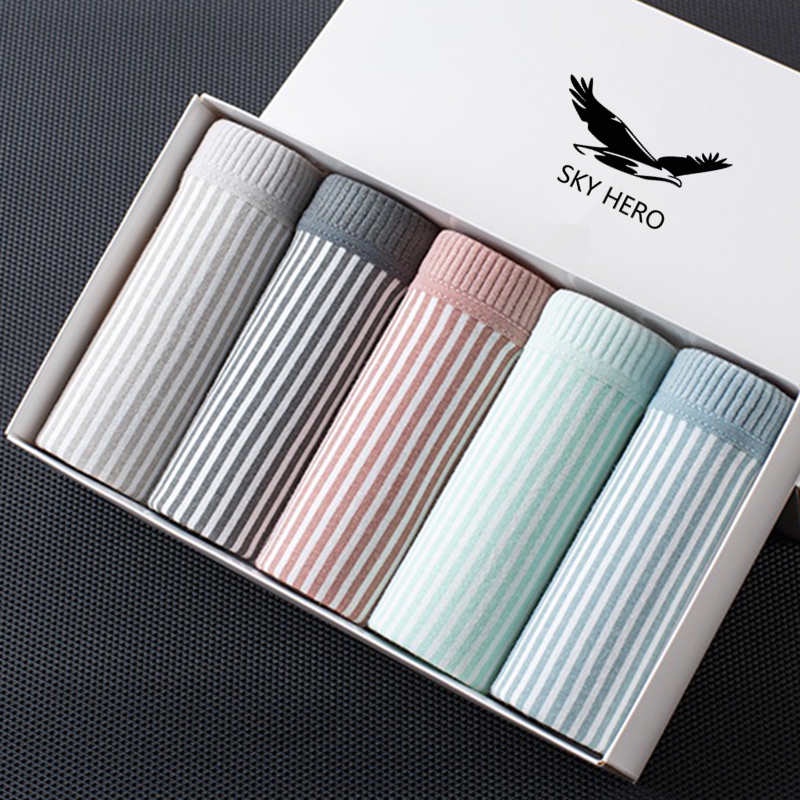 Bộ 5 Trong 1 Quần Lót Cotton Thời Trang Xinh Xắn Cho Nữ