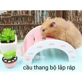 Cầu thang bộ lắp ráp nhỏ và lớn dành cho hamster
