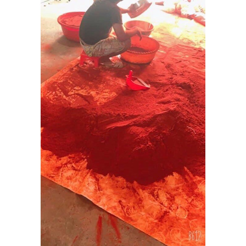 Nghệ đỏ cho gà đá - Hủ 500GR