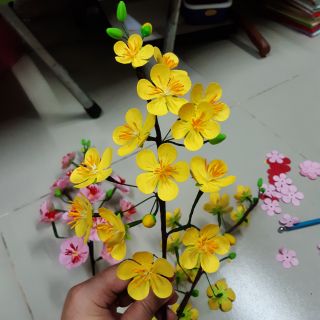 SET LÀM HOA MAI ĐÀO