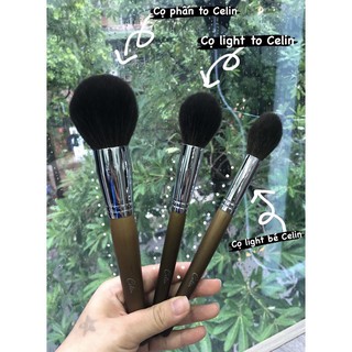 Cọ lẻ to celin