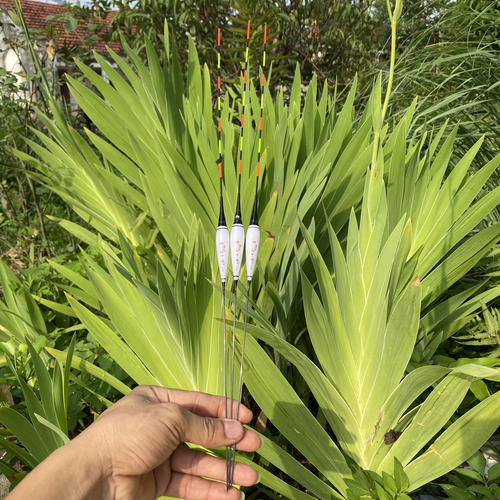 Phao câu đài ngày đêm, Phao điện câu đài Chân dài , Bầu dài , Tăm dài Chuyên Chép , Diếc , Rô